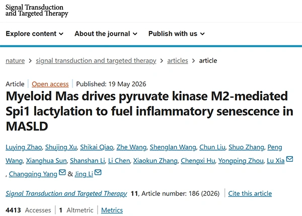 Myeloid Mas drives pyruvate kinase M2-mediated Spi1 lactylation to fuel inflammatory senescence in MASLD
