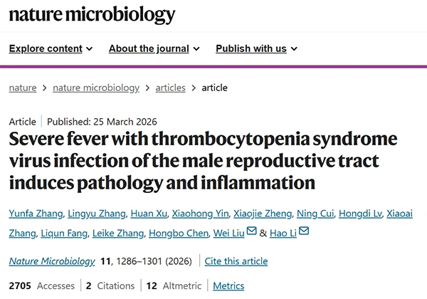 Severe fever with thrombocytopenia syndrome virus infection of the male reproductive tract induces pathology and inflammation