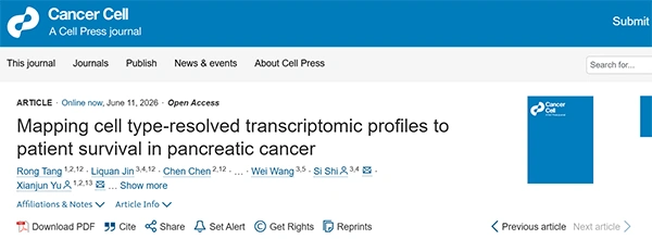 Mapping cell type-resolved transcriptomic profiles to patient survival in pancreatic cancer