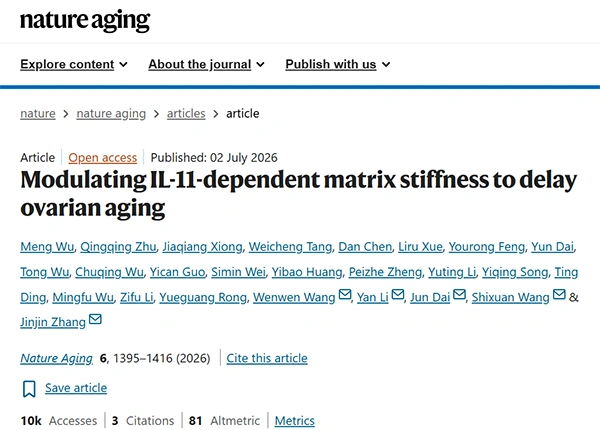 Modulating IL-11-dependent matrix stiffness to delay ovarian aging