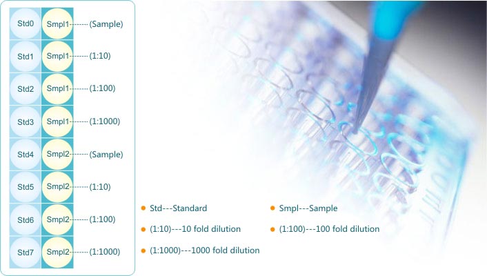 ELISA experiment