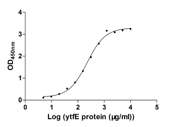The binding activity of aqpZ with ytfE