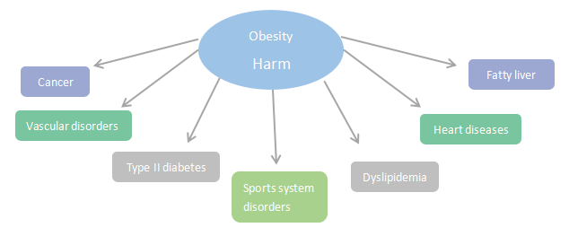 Obesity leads to many diseases