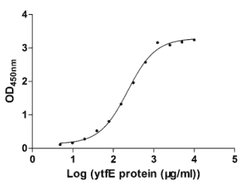 E.coli Expression System project case 04