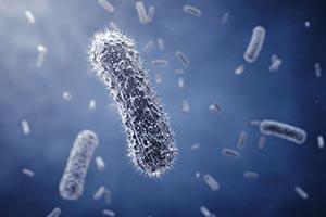 CUSABIO Insect Baculovirus Expression System