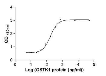 In vitro E.coli Expression System case 04