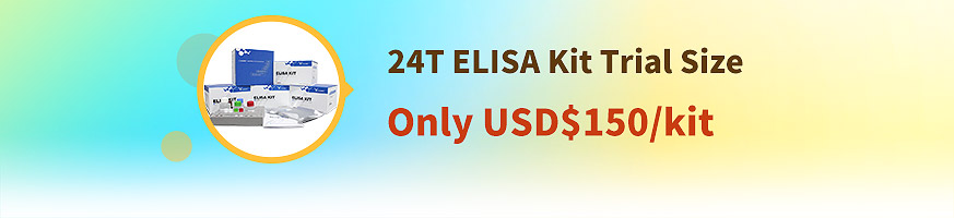 24T ELISA KIT trial size