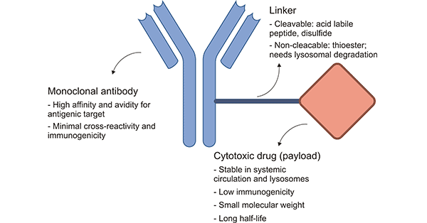 the structure of ADCs