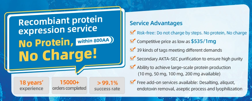 Recombinant Proteins expression service