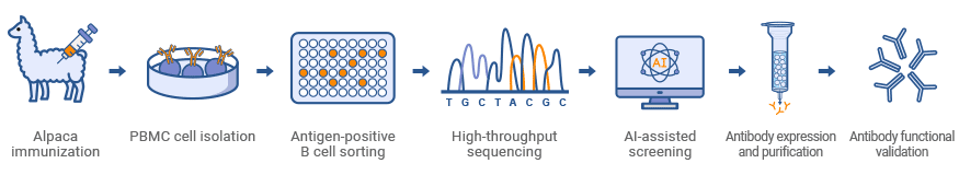 Single B Cell Technology Platform