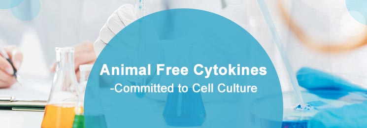 Animal Free Cytokines