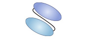 Recombinant Expression of scFv in the Mammalian System