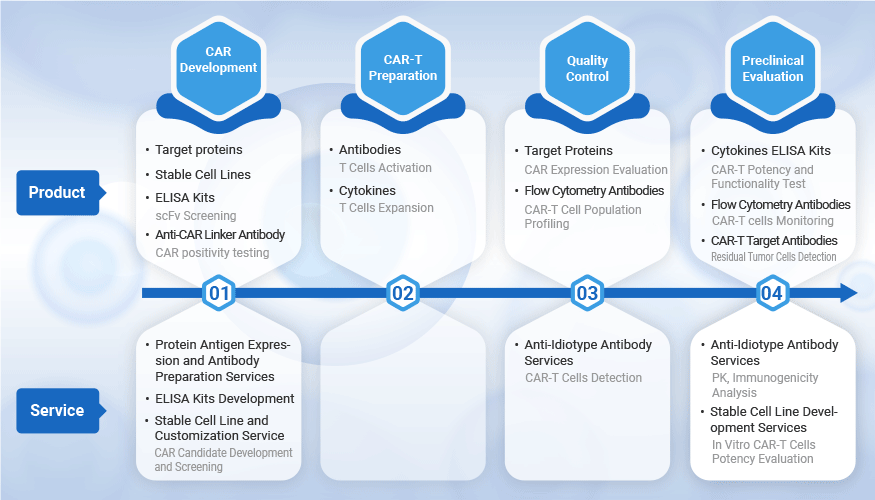 CAR-T Therapy Development Solutions