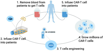 CAR-T Therapy Development Solutions