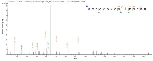 LC-MS/MS Analysis of CSB-MP007479HU