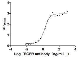 Activity of Recombinant Human EGFR
