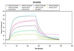 LSPR of Recombinant Human EGFR