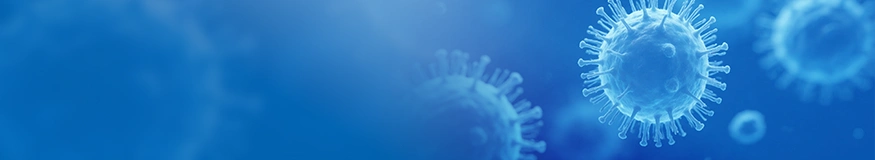 Crimean-Congo Hemorrhagic Fever Virus