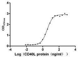 CD19 ELISA Test