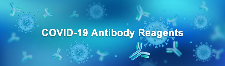 COVID-19 Antibody Reagents