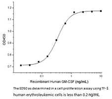 Recombinant Human CSF2 Activity