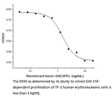 Recombinant Human CSF3 Activity