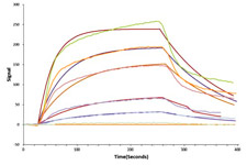 LSPR Assay of Recombinant Human EFNA6