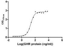 Recombinant Human GH1 ELISA