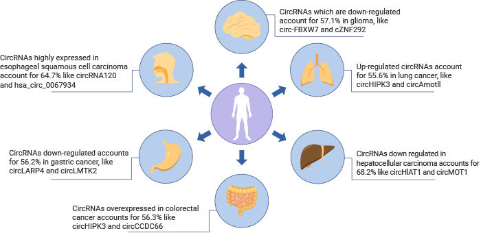 CircRNAs distribution in cancer