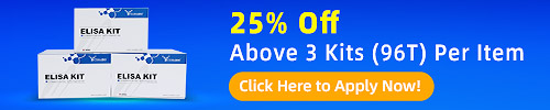 25% Off Above 3 its (96T) Per Item