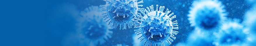 Dengue virus