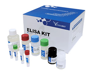 ELISA Kit