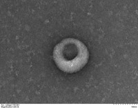 exosomes 04