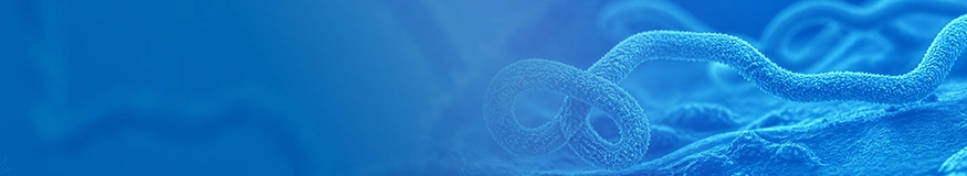 Ebola virus