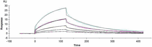 Surface plasmon resonance test of FCGR3A