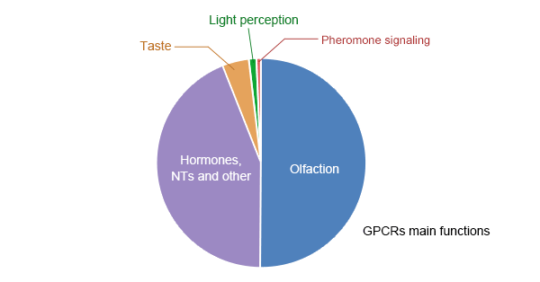 SLCs-mediated movement across the membrane