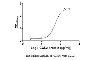 CSB-CF624105HU SDS-PAGE & ELISA