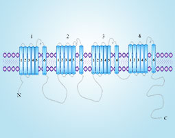 Ion channel