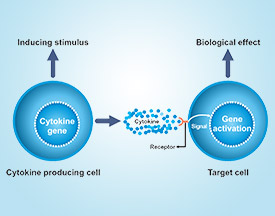 Cytokines