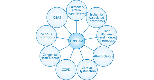 Commonly known CVDs with pathophysiology as a function of hypoxia signaling mechanisms