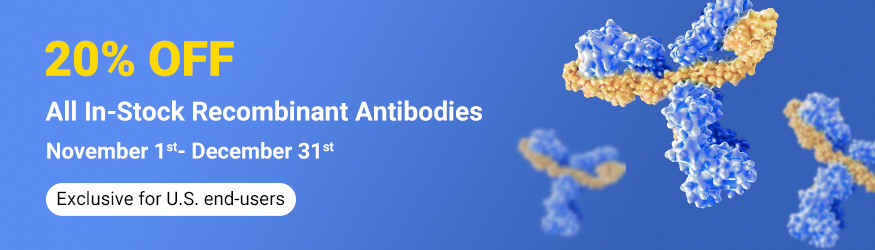 20% OFF All In-Stock Recombinant Antibodies