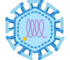 Japanese Encephalitis Virus Structure