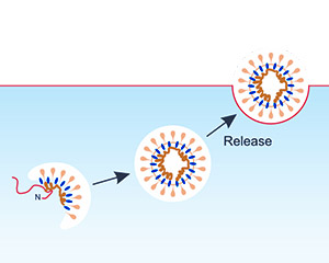 Nanoparticle Technology Platform