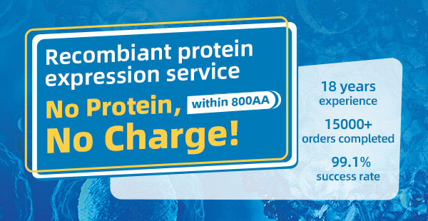 Recombinant Proteins expression service