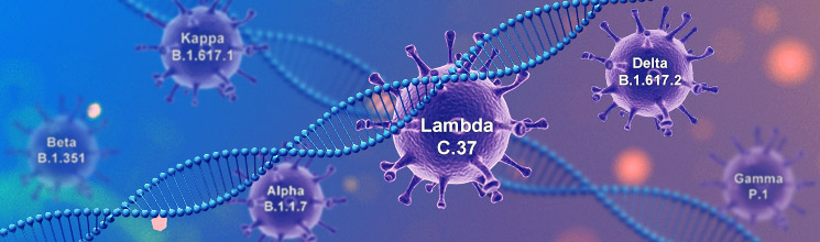 Partial popular mutants from SARS-CoV-2 Variants