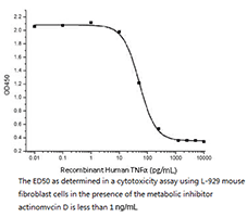 CSB-AP004881HU ELISA