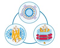 Technologies to Obtain Full-Length Muti-Transmembrane Proteins