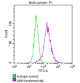 TagControl Antibodies ValidationFC