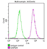 TagControl Antibodies ValidationFC2