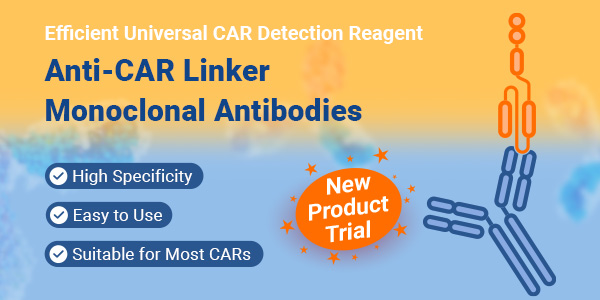 Anti-CAR Linker Antibody